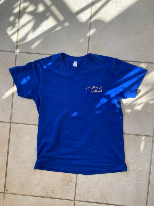 T-shirt Palestine